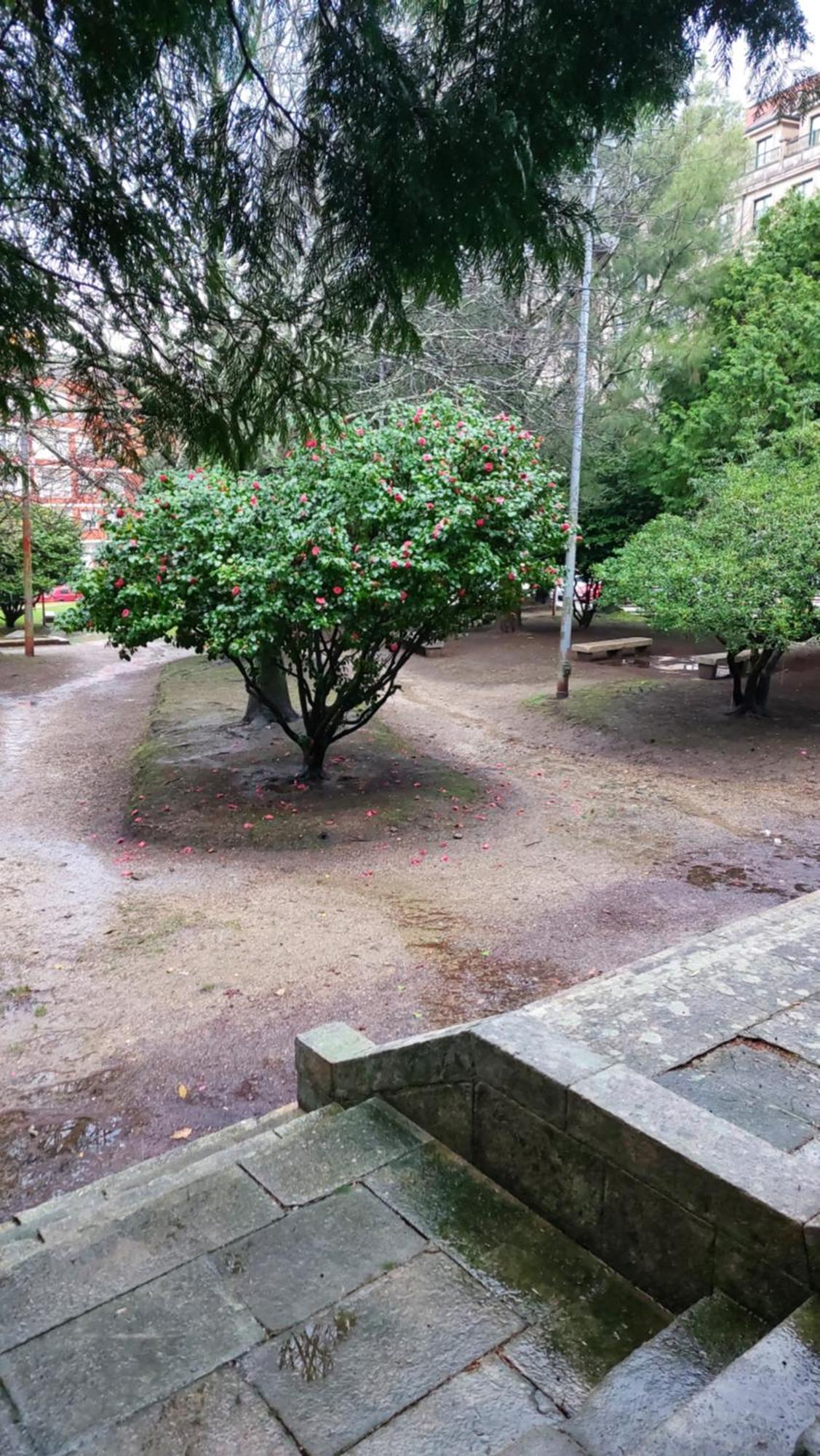 Piso En Villagarcia De Arosa Vilagarcia de Arousa Eksteriør billede